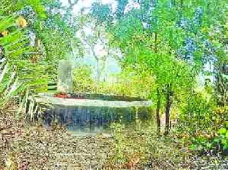 Varaha Coupe merged in field